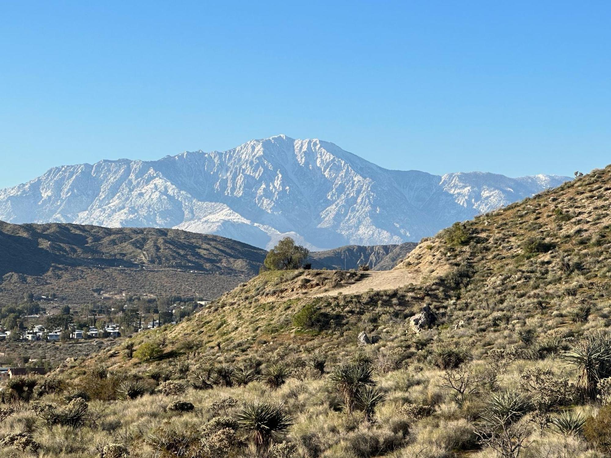Two Pepper Ranch - A Desert Oasis Morongo Valley Buitenkant foto